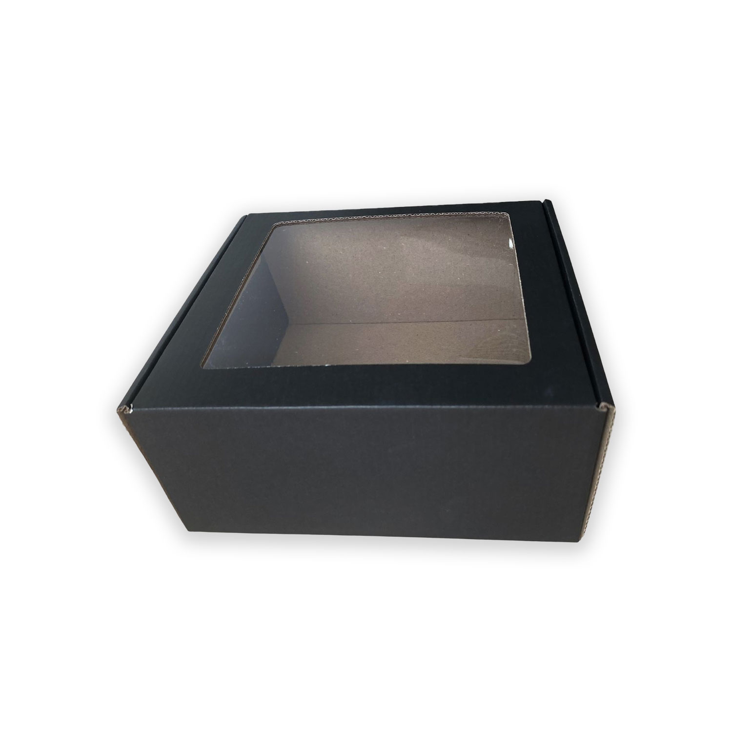 Kutije s prozirnim poklopcem - CRNE 195x205x50mm